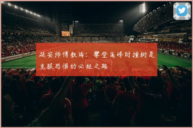 延安师傅教诲：攀登高峰时撞树是克服恐惧的必经之路
